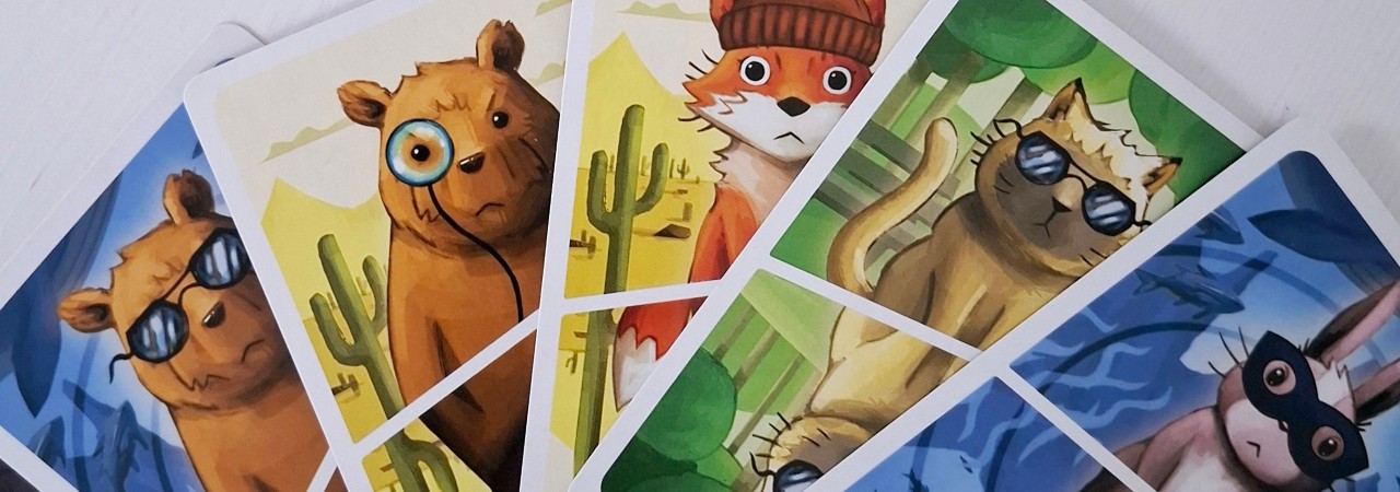 Gamewright Deduckto Kartenspiel – Logikspiel Für 2–5 Spieler Ab 8 Jahren, Ca. 15 Minuten