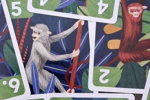 Monkey Fun