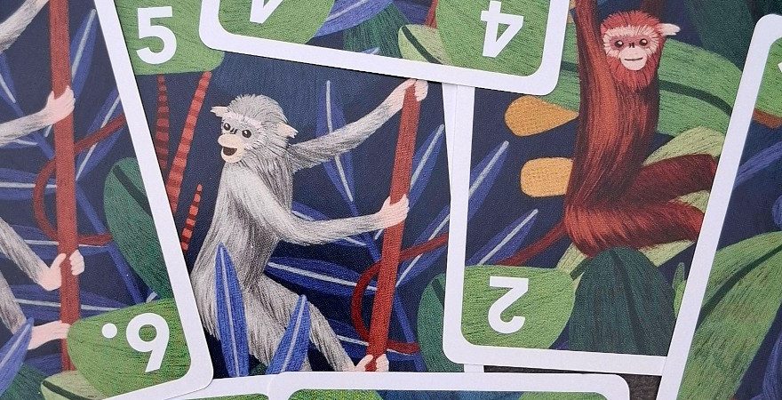 Monkey Fun