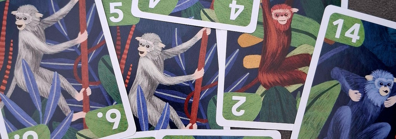 Monkey Fun