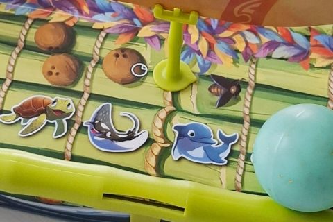 Dodo Ahoi
