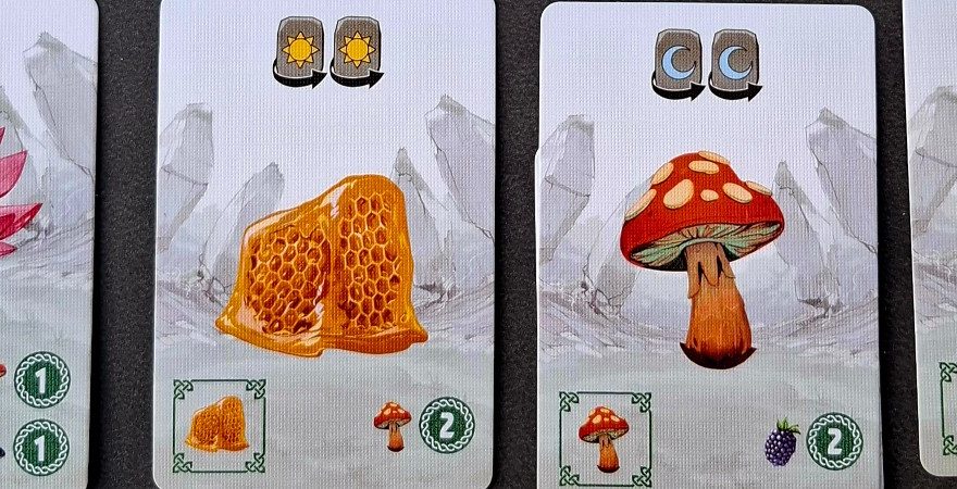 Carnuta