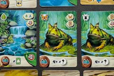 Froschreich