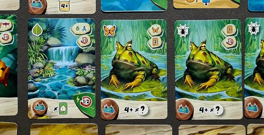 Froschreich