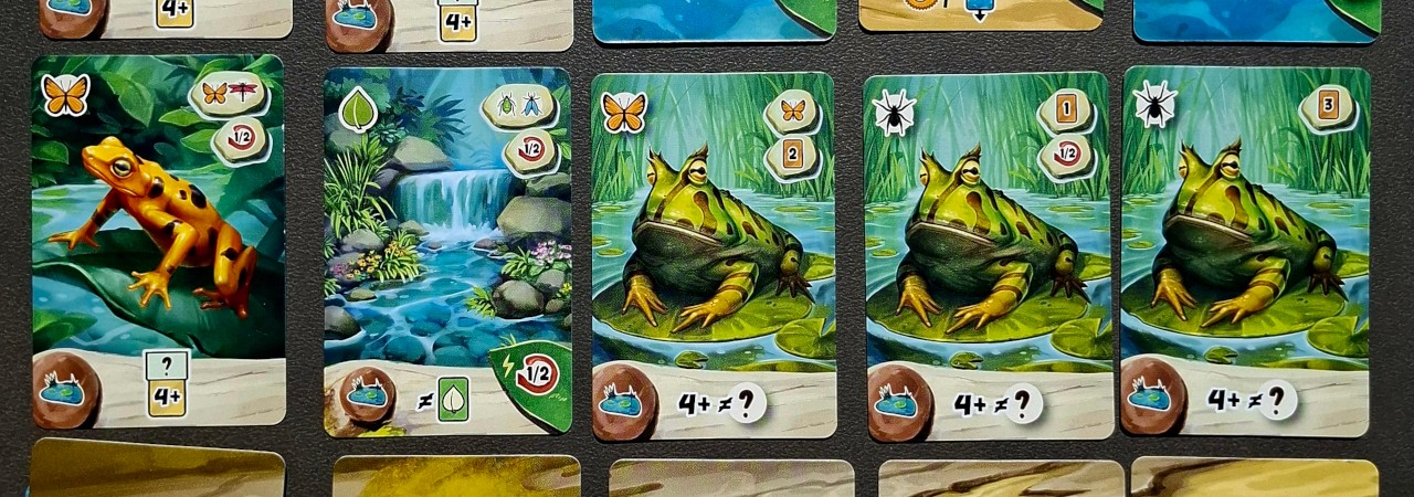 Froschreich