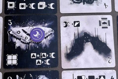 Instinkt: Duell der Tiere