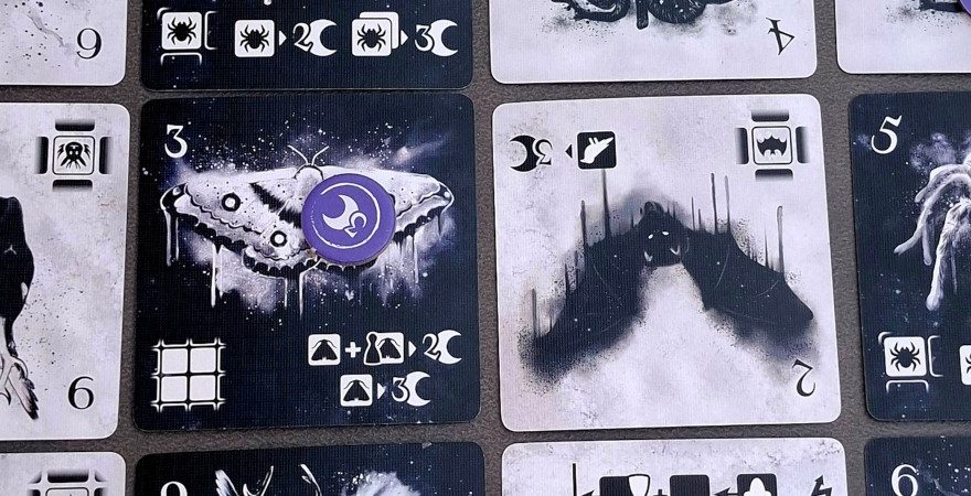 Instinkt: Duell der Tiere
