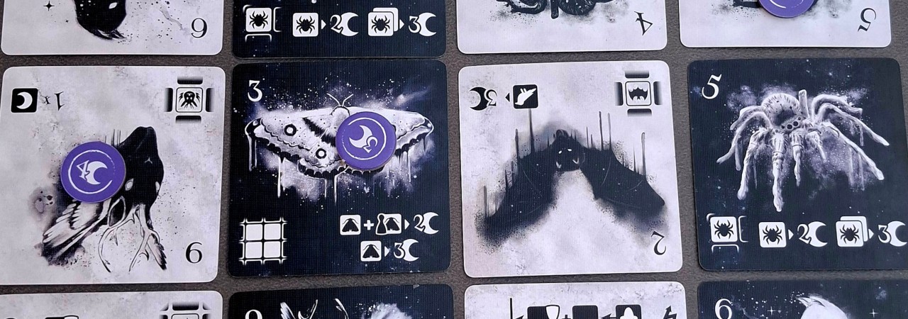 Instinkt: Duell der Tiere