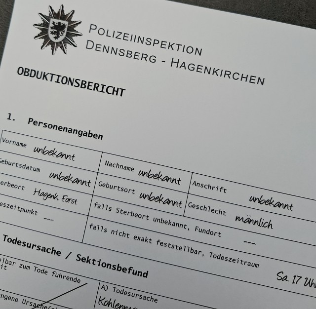 Dark Cases - Feuerfest